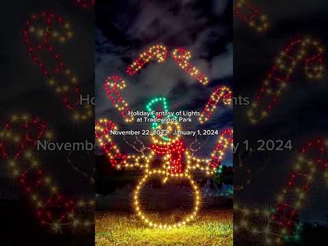 Best Holiday Lights in Greater Fort Lauderdale