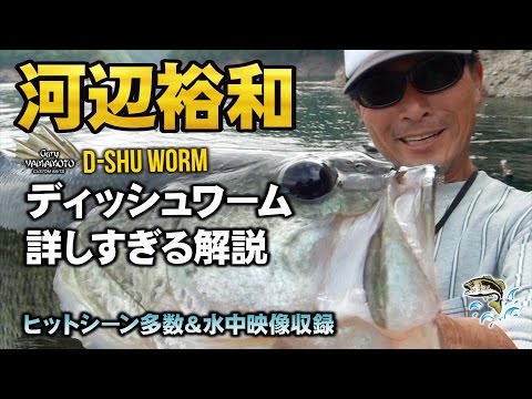 ゲーリー河辺裕和-ディッシュワーム超解説-ヒットシーン多数＆水中映像収録