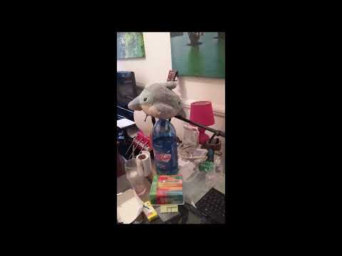 Dancefloor Disko Kidz - Dancefloor Disko Kidz