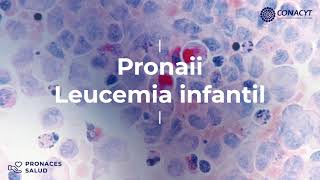 Proyecto Nacional de Investigación e Incidencia (Pronaii) de Leucemia Infantil