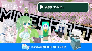 マインクラフトで脱出ゲームする配信 #kawaiiまいくらねこ