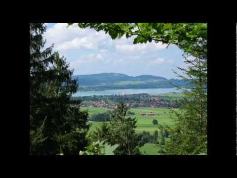 SharafAlzoubi’s Video 103894590222 GvFi0UrY5LI