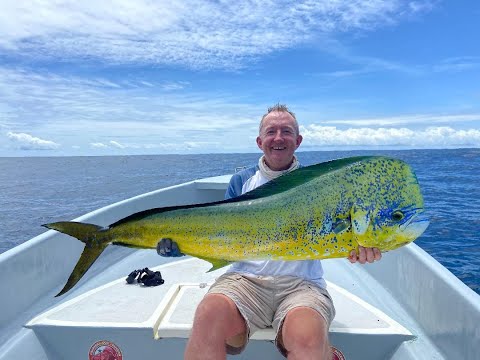 Giant Mahi Mahi fishing a popper in Panama