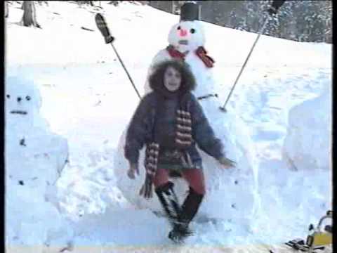 Alina Mavrodin - Ninge iar munte