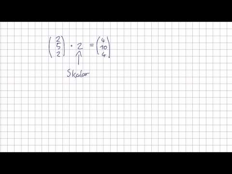 Mathematik für Informatik Studenten 67 - Vektoren : Skalarenmultiplikation