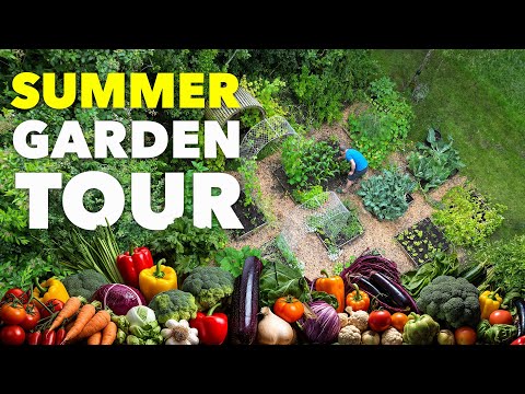 Tiny Yard Container Garden How to Grow 1 000 of Food