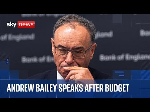 Bank of England governor on UK's financial stability