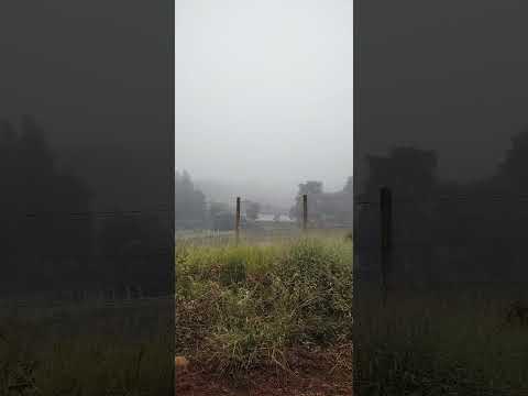 dia 11: Conceição das Pedras x Vargem Alegre