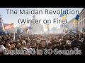 The Maidan Revolution Winter On Fire Explained In 30 Seconds