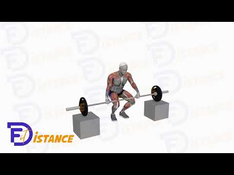 Exercice Power Clean depuis les blocs