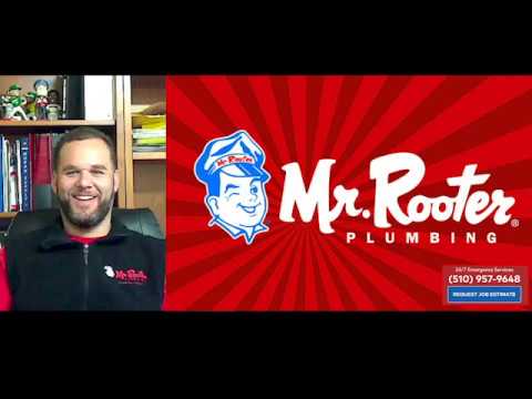 The Light Digital video.