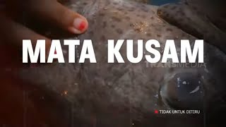 Download lagu [FULL] | SI UNYIL (13/10/21) mp3