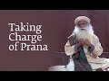 Taking Charge of Prana | Sadhguru