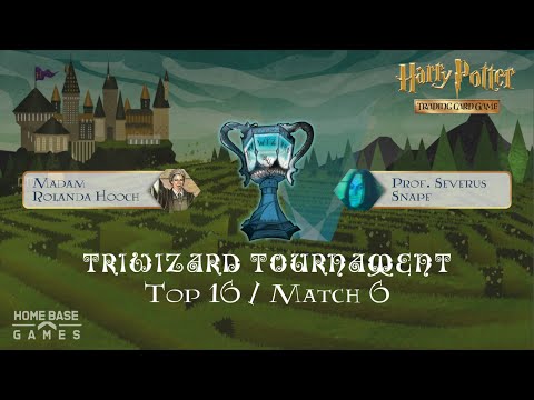 Hooch vs Snape // Triwizard Tournament Top 16 // Harry...