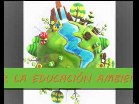 El Día Mundial de la Educación Ambiental « c o l e c t i v 