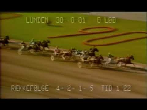 Dansk Trav Derby 1981 - Duvil