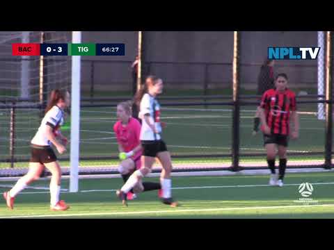 Highlights NPL NSW Women's Round 7 - Bankstown City FC v Northern Tigers FC