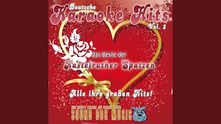 Lieder sterben nie (Karaoke Version) (Originally Performed By Kastelruther Spatzen)
