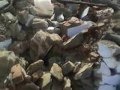 Elampillai Lake Eviction Video 1