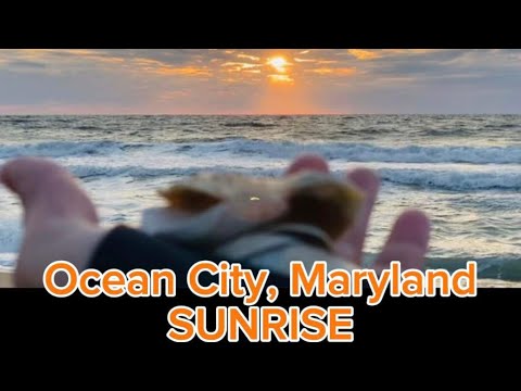 Waking up in the Ocean City SUNRISE | Relaxing Sounds | Ohana Abode #979