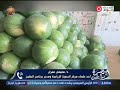 مركز البحوث الزراعية يكشف حقيقة وجود بطيخ يصيب بالسرطان (فيديو)