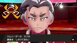 お蕎麦達のポケモンツルギスタイル8