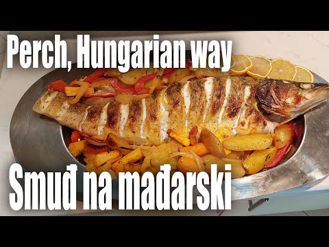 Smuđ na mađarski, Zander Hungarian way