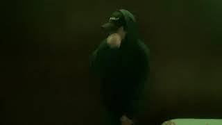 Little Giant - Western Ways Pt II Freestyle