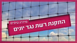 התקנת רשת נגד יונים - שלב אחרי שלב