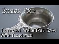 Sosban Fach Traditional Welsh Folk Song with Translation -  "Howl's Moving Castle"