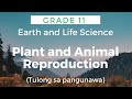 Grade 11 Earth And Life Science Plant And Animal Reproduction