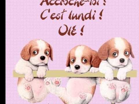 Je n'aime pas les Lundi