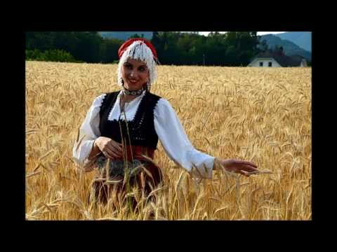 Narodni Orkestar Iz Banatskog Novog Sela - Bosilegradsko Krajište