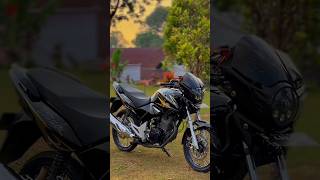 Download lagu Tiger pece story wa 18 detik #shorts #tigerpece mp3 Download lagu Tiger pece story wa 18 detik #shorts #tigerpece mp3