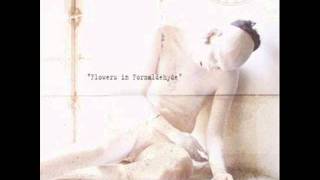 Sopor Aeternus -- Hearse Shaped Basins Of Darkest Matter (Instr)