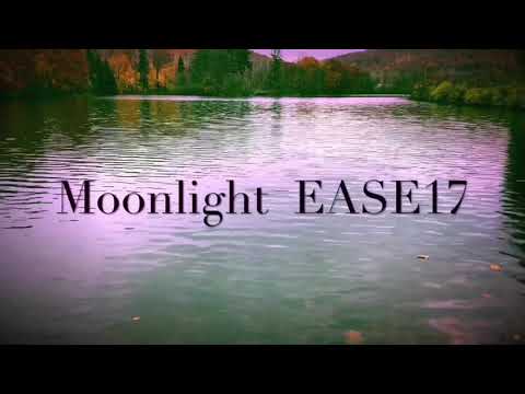 Moonlight (Official Video) prod. by Mist3r
