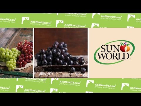 AndNowUKnow - Sun World - Shop Talk