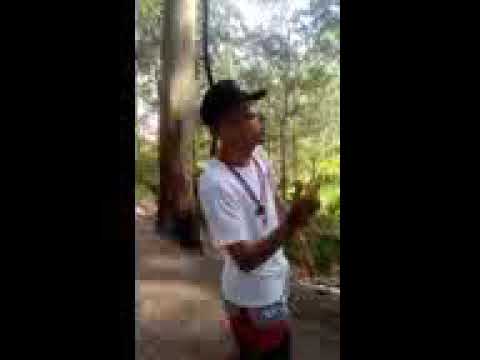 Mc disciplina mc chefe