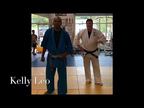 Shidokan Karate Technique