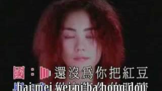 Hong Dou  红豆  Red Bean - Wang Fei - Pin Yin