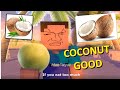 REMASTERED The COCONUT Song In Minecraft