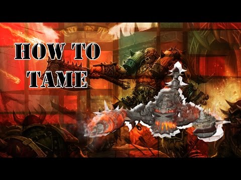 The Iron Juggernaut Pet (and Thok)│HOW TO TAME│World of Warcraft