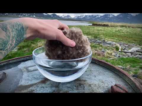 Hydrophopic Qualities of Eiderdown