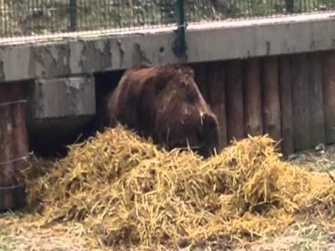 2016 03 26 Frühjahrsputz Poldi