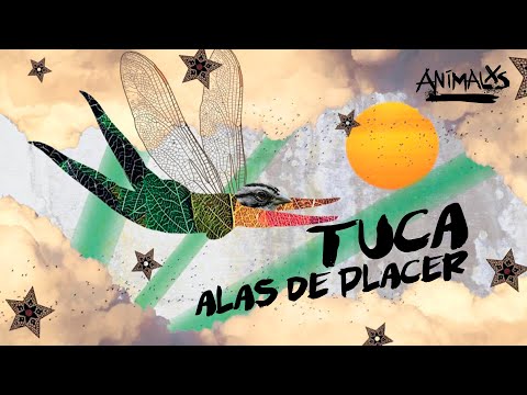 ANIMALXS CAP 1 - TUCA, ALAS DE PLACER