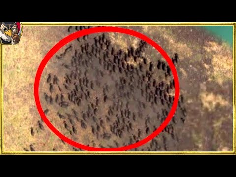 月の帰還: NASA 研究者が驚くべき発見をする