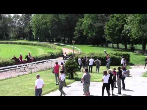 Trainingstag Ponygalopprennen Dielsdorf, 23.06.2012