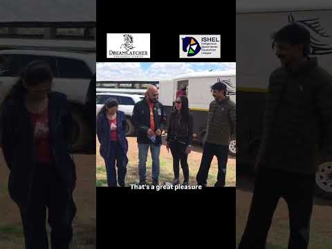 Thumbnail for a recent video by ISHEL - Indegineous Sport Horse Equestrian League