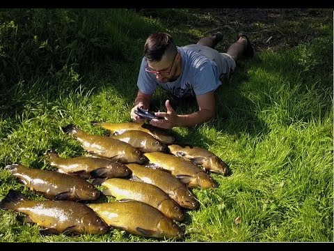 Jak rozciągnąć mięśnie biodrowe wideo Jak zbudować mięśnie klatki piersiowej, aby kobieta w domu