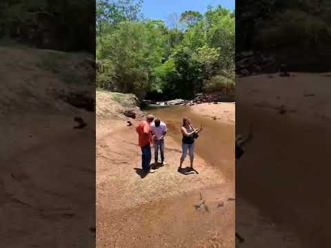 Fazendas orion - a 18 km de ALEXIÂNIA GO , chácaras de 20.000 mts2 (62)991027935